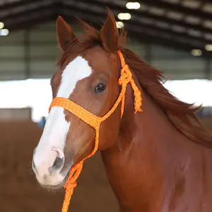 MULE TAPE HALTER